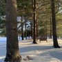 Photo of Three Creeks Metro Park