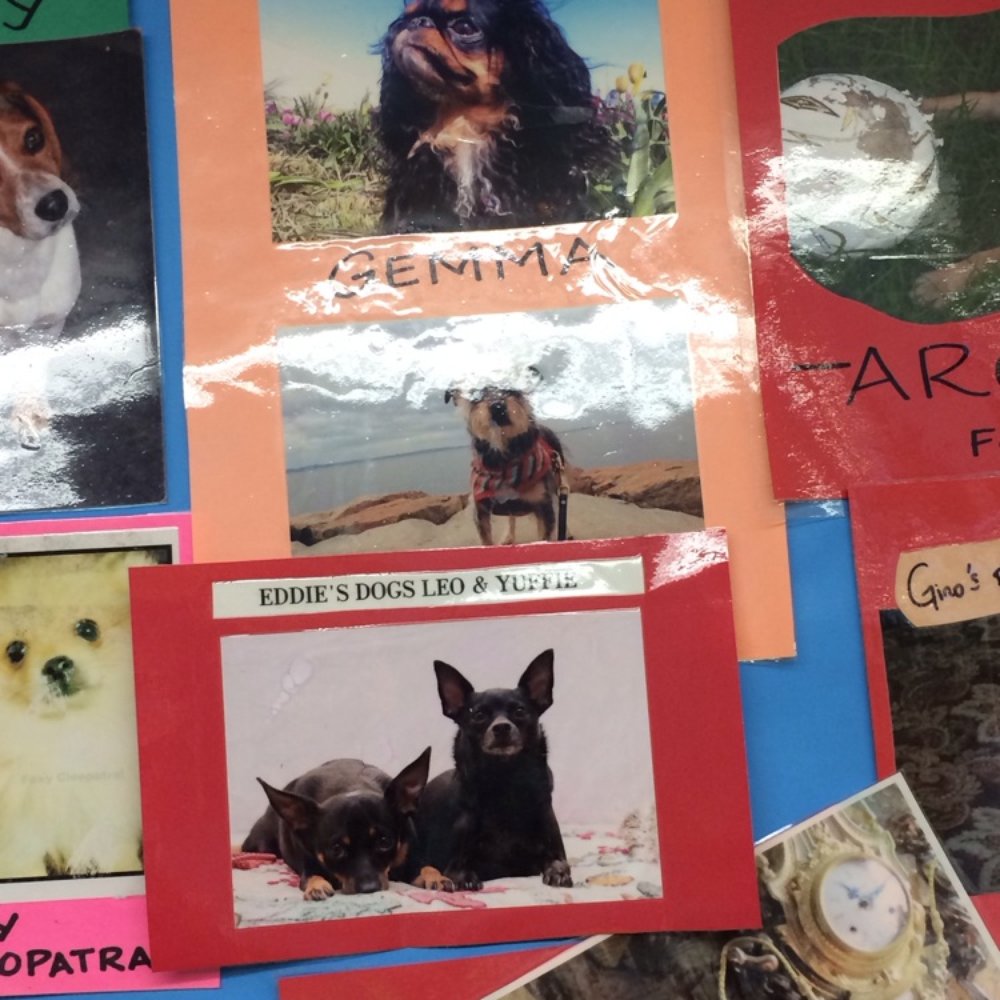 Trader Joe's - My dogs, Gemma and Razz, on the walk at Trader Joe's. They have a wall of Neighborhood pets. :) - Grocery Near Me - Edgewater, New Jersey Trader Joe's - My dogs, Gemma and Razz, on the walk at Trader Joe's. They have a wall of Neighborhood pets. :) - Grocery Near Me - Edgewater, New Jersey