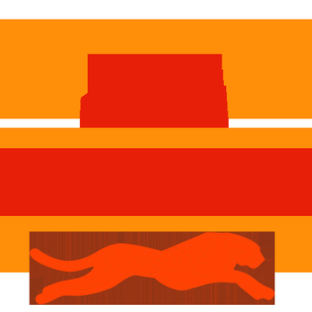 City Cheetah - Our logo - Food Delivery Services Near Me City Cheetah - Our logo - Food Delivery Services Near Me