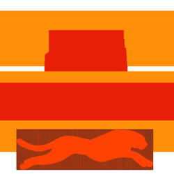 City Cheetah - Our logo