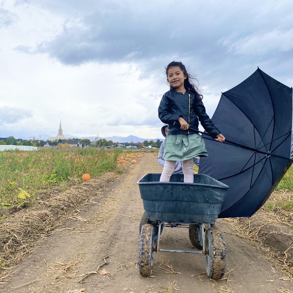 Mabey’s Pumpkin Patch - Their wagons are pretty awesome - Pumpkin Patches Near Me - South Jordan, Utah Mabey’s Pumpkin Patch - Their wagons are pretty awesome - Pumpkin Patches Near Me - South Jordan, Utah