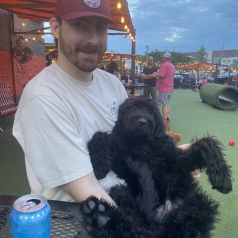 Play. Wash. Pint. - Dog Parks Near Me - Chattanooga, Tennessee Play. Wash. Pint. - Dog Parks Near Me - Chattanooga, Tennessee