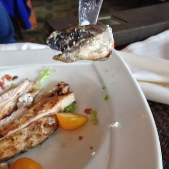 Latitudes - Wentworth By The Sea - Allegedly chicken - Seafood Near Me - New Castle, New Hampshire Latitudes - Wentworth By The Sea - Allegedly chicken - Seafood Near Me - New Castle, New Hampshire