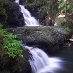 Hawaii Tropical Botanical Garden
