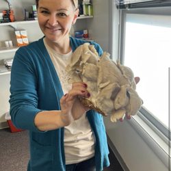 Lafayette Family Wellness - The lovely Kyra
