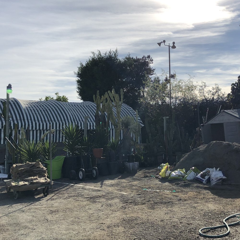 International Garden Center - Look at the size of these cacti - Nurseries & Gardening Near Me - El Segundo, California International Garden Center - Look at the size of these cacti - Nurseries & Gardening Near Me - El Segundo, California