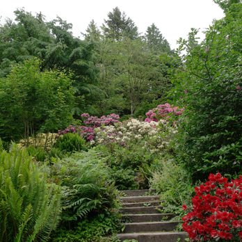 Washington Park Arboretum - Path through the flowers. - Parks Near Me - Seattle, Washington Washington Park Arboretum - Path through the flowers. - Parks Near Me - Seattle, Washington