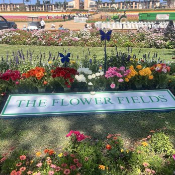 The Flower Fields - Venues & Event Spaces Near Me - Carlsbad, California