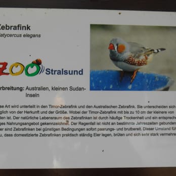 Tierpark Stralsund - Zoos Near Me - Stralsund, MV