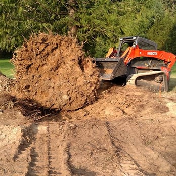 Eastside Tree Works - 3' diameter cedar stump removal - Tree Services Near Me - Carnation, Washington