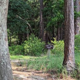 Here's a trail close to the small beach.