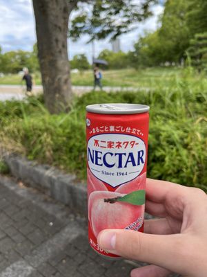 Osaka Castle Park by null