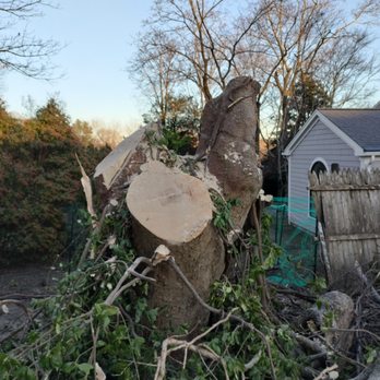 Joshua Services - Tree removal service - Landscaping Near Me
