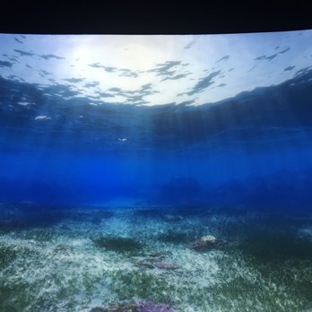 national geographic ocean odyssey groupon