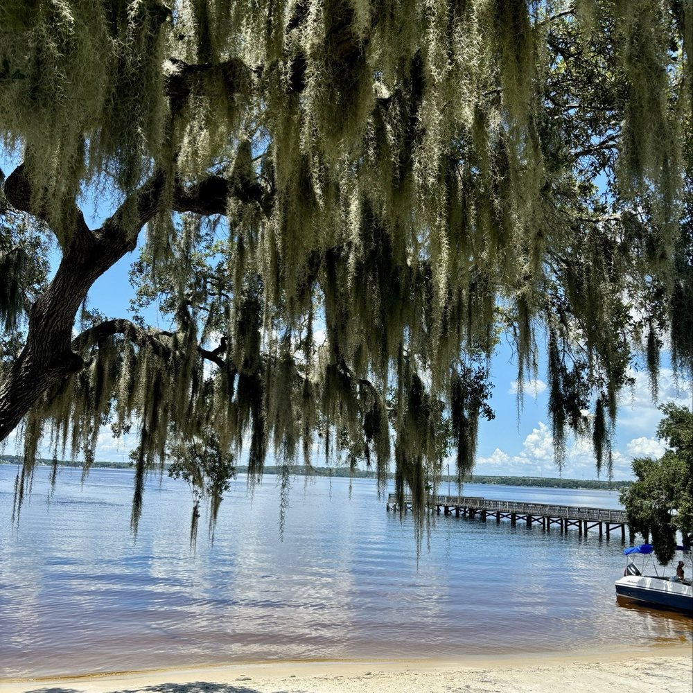 Salt Shack - Seafood Near Me - Clermont, Florida Salt Shack - Seafood Near Me - Clermont, Florida