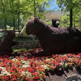 Bear flowers