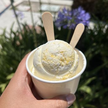 Sweet Scoops Homemade Ice Cream - Sticky Rice and Mango - Ice Cream & Frozen Yogurt Near Me - Fullerton, California Sweet Scoops Homemade Ice Cream - Sticky Rice and Mango - Ice Cream & Frozen Yogurt Near Me - Fullerton, California