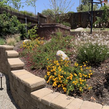 Alexander's Landscaping - AFTER:  A beautiful selection of drought-tolerant plants. - Landscaping Near Me