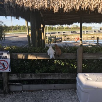 gator park - Boat Tours Near Me - Miami, Florida gator park - Boat Tours Near Me - Miami, Florida