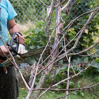 Limbgrabber's - Tree Services Near Me Limbgrabber's - Tree Services Near Me