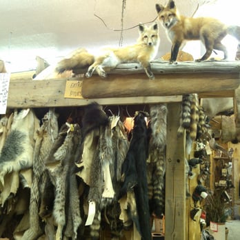 American Natural Resources - Pelts - Furniture Stores Near Me - Griffith, Indiana