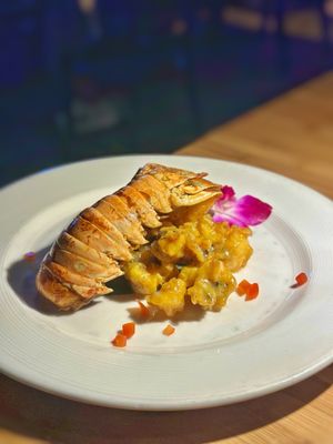 Sushi Roku Las Vegas by null