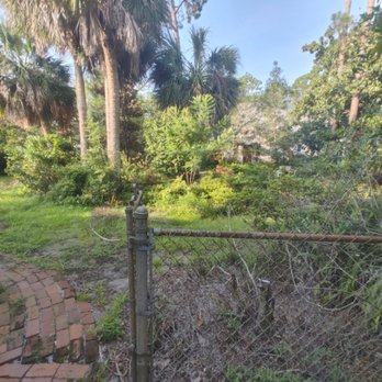 SheCUT's Lawn Care - Before- back - Lawn Services Near Me