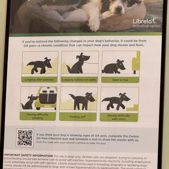 Army Trail Animal Hospital - Veterinarians Near Me - Bartlett, Illinois Army Trail Animal Hospital - Veterinarians Near Me - Bartlett, Illinois