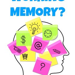 The Academic Center - What is Working Memory Training?