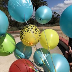 Rod McLeod Park - Balloon release at McLeod Park for my sisters heavenly birthday..