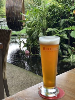 RedDot Brewhouse by null