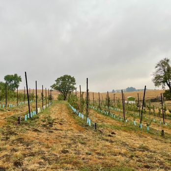 WSU Eggert Family Organic Farm - Farms Near Me - Pullman, Washington WSU Eggert Family Organic Farm - Farms Near Me - Pullman, Washington