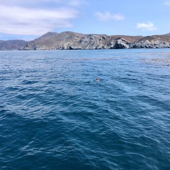 Horizon Charters - San Clemente Island - Diving Near Me - San Diego, California