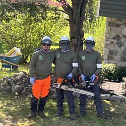 Green Leaves Tree Service