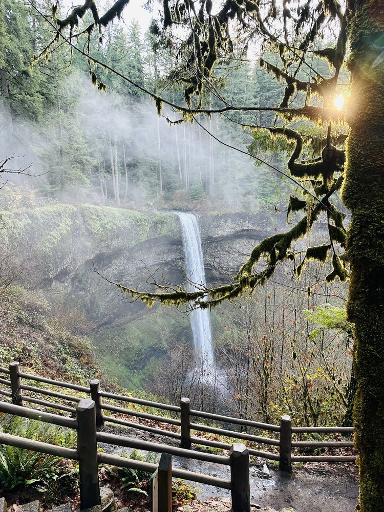 Silver Falls State Park Logo