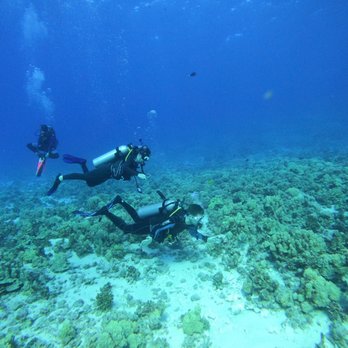 Maui Dreams Dive - Scuba Diving Near Me - Kihei, Hawaii