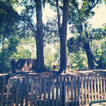 Fontainebleau State Park - Parks Near Me - Mandeville, Louisiana