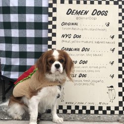Demen Dogs - Our mascot