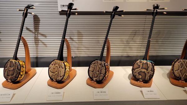 Okinawa Prefectural Museum and Art Museum (Okimyu) by null