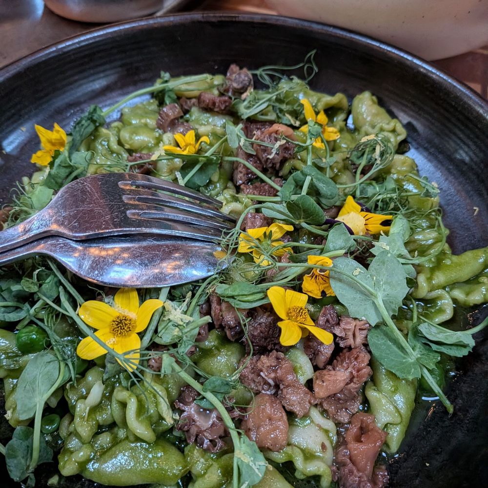 Twelvemonth - Campanelle - Vegan Near Me - Burlingame, California Twelvemonth - Campanelle - Vegan Near Me - Burlingame, California