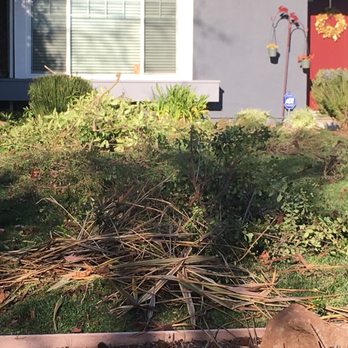 Ramirez Corporation Gardening Service - Landscaping Near Me