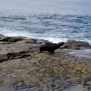 La Jolla Cove - Parks Near Me - La Jolla, California La Jolla Cove - Parks Near Me - La Jolla, California