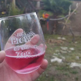 Central Coast Zoo - Enjoying a pink cider from Bristols Cider! In the souvenir glass all Brew at the Zoo attendees received. - Zoos Near Me - Atascadero, California Central Coast Zoo - Enjoying a pink cider from Bristols Cider! In the souvenir glass all Brew at the Zoo attendees received. - Zoos Near Me - Atascadero, California