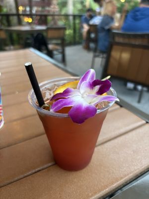 Trader Sam's Tiki Terrace by null