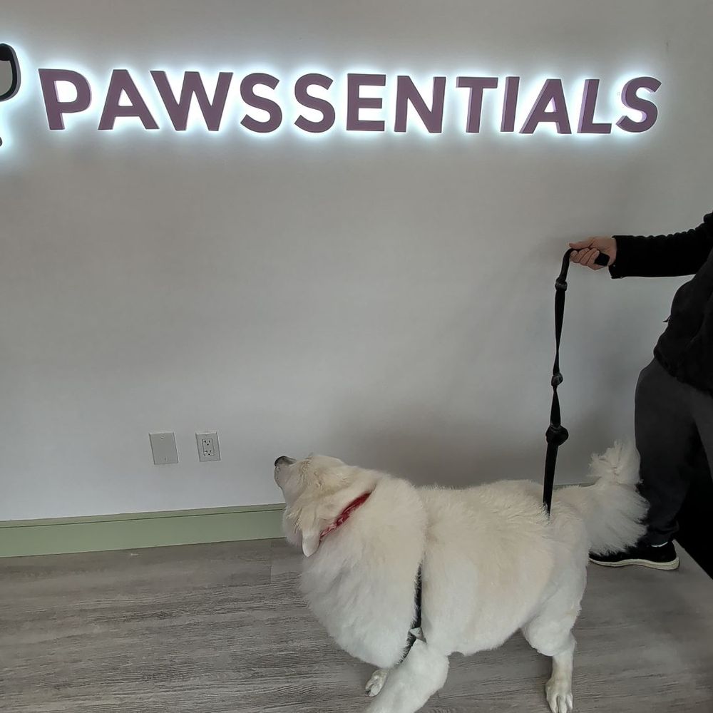 Pawssentials - Pet Groomers Near Me - Milpitas, California