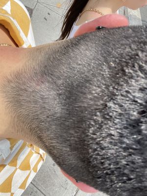 Valentino and Jet Hair Salon by null