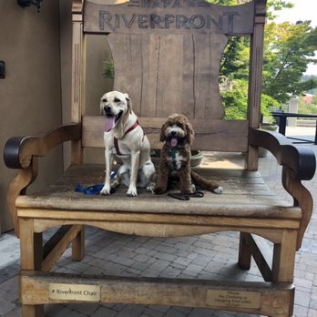 Ruff Translation Dog Training - Pet Training Near Me Ruff Translation Dog Training - Pet Training Near Me