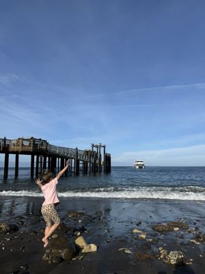 Island Packers Cruises by null