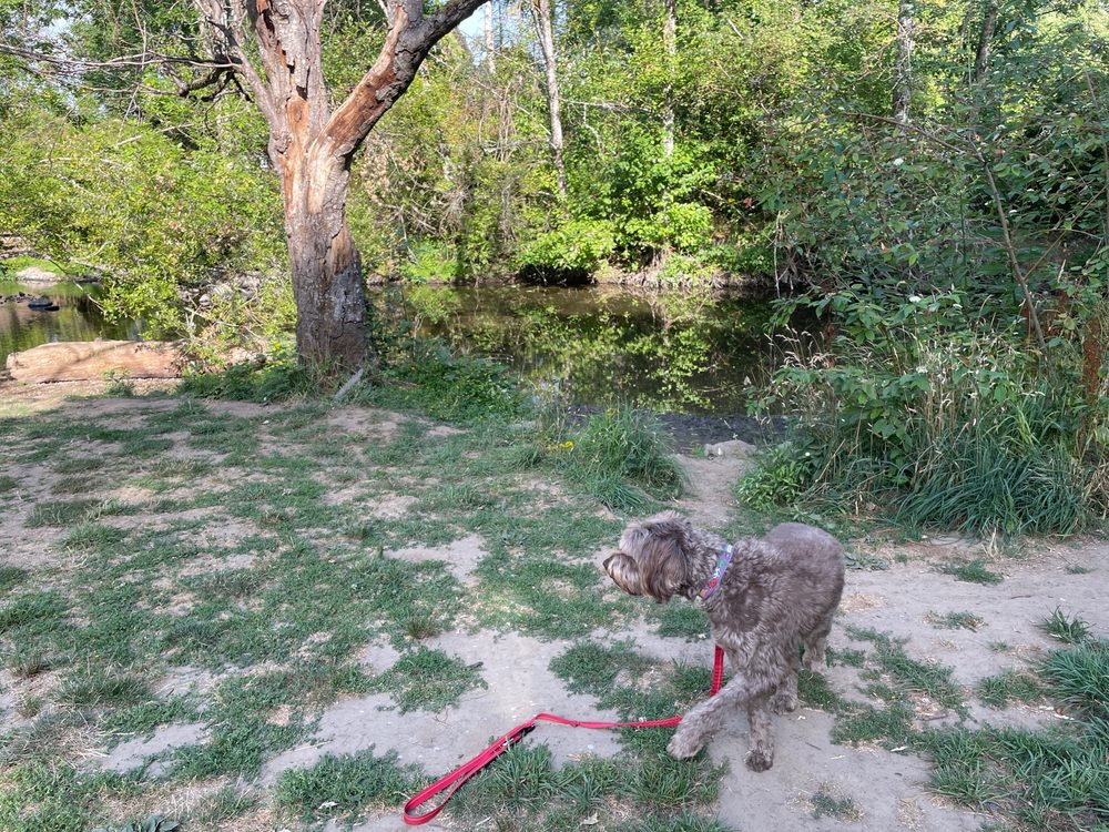 JOHNSON CREEK PARK Updated May 2024 SE 21st St & SE Clatsop St, Portland, Oregon Parks Yelp