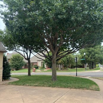 Sam's Tree Service & Stump Grinding - Tree trimming - Tree Services Near Me - Edmond, Oklahoma Sam's Tree Service & Stump Grinding - Tree trimming - Tree Services Near Me - Edmond, Oklahoma